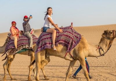 Dubai Camel Ride: Experiencing the Desert the Traditional Way