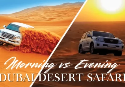 Morning vs Evening Desert Safari: Which Adventure is Right for You?