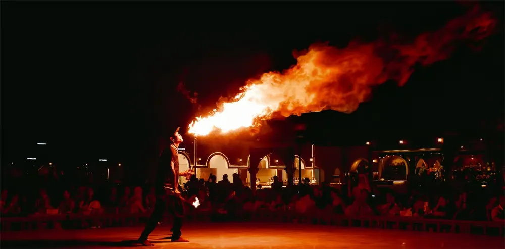Privatedesertsafarifireshow