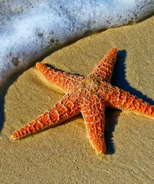 Unsplash br xdb9ke0q 1.webp