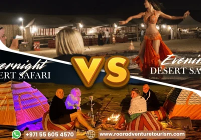 Overnight vs Evening Desert Safari Dubai: Which Desert Adventure Is Right for You?