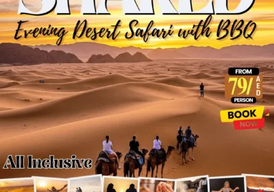 Evening Desert Safari with shared transfer