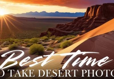 What is the Best Time to Take Desert Photos in Dubai 2026 Guide