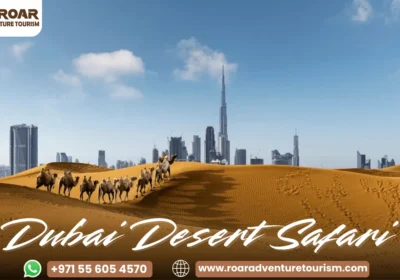 Dubai Desert Safari: Complete Tour Guide to Desert Adventures (2026)