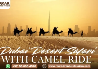 Dubai Desert Safari with Camel Ride: 2026 Guide to Arabian Adventure