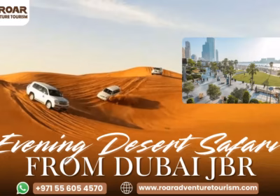 Evening Desert Safari from JBR Pick/Drop Shows & BBQ Dinner