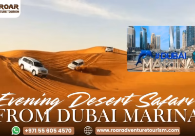 Evening Desert Safari from Dubai Marina Pick/Drop Food & Shows