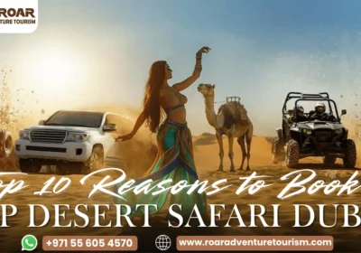 Top 10 Reasons to Book a VIP Desert Safari in Dubai