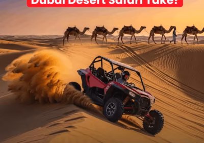 Typical Duration of Desert Safari in Dubai 2026 How Long Does a Desert Safari Take?