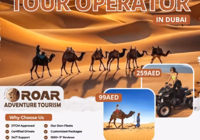 Best Desert Safari Dubai 2026 Packages Premium to Luxury Tours
