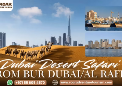 Desert Safari from Bur Dubai Al Raffa/Mankhool with Pick/Drop Food & Shows