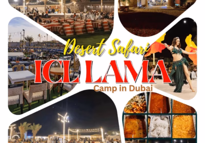 ICL Lama Desert Camp Dubai [Premium Platinum] Lama Desert Safari Review